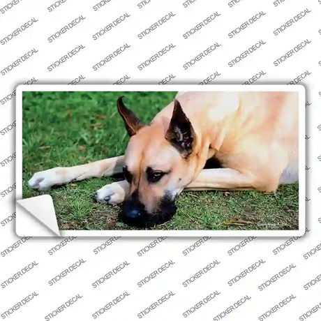 Great Dane Dog Novelty Sticker Decal Small