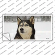 Husky Dog Novelty Sticker Decal Small