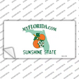 Florida State Blank Novelty Sticker Decal Small