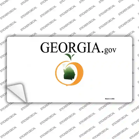 Georgia State Blank Novelty Sticker Decal Small