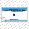 Minnesota State Blank Novelty Sticker Decal Small