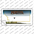 Montana State Blank Novelty Sticker Decal Small