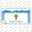 South Carolina State Blank Novelty Sticker Decal Small