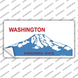 Washington State Blank Novelty Sticker Decal Small