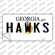 Hawks Georgia State Novelty Sticker Decal