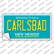 Carlsbad New Mexico Teal Novelty Sticker Decal Small