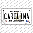 Carolina Novelty Sticker Decal Small