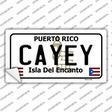 Cayey Puerto Rico Novelty Sticker Decal Small