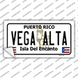 Vega Alta Puerto Rico Novelty Sticker Decal Small