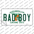 Bad Boy Florida Novelty Sticker Decal Small