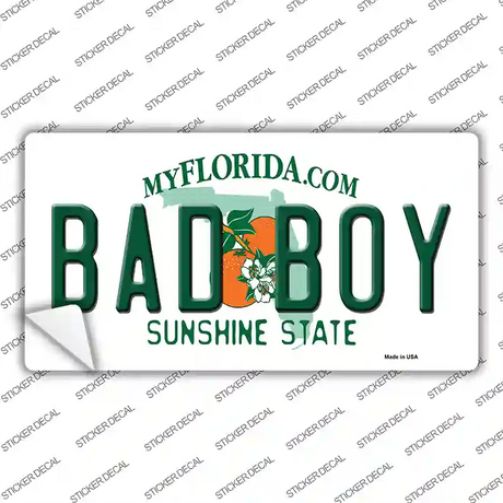 Bad Boy Florida Novelty Sticker Decal Small