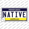 Native Pennsylvania State Novelty Sticker Decal Small