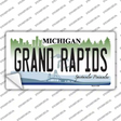 Grand Rapids Michigan Novelty Sticker Decal Small