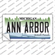 Ann Arbor Michigan Novelty Sticker Decal Small