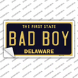 Bad Boy Delaware Novelty Sticker Decal Small