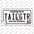 Tailgtr Puerto Rico Novelty Sticker Decal Small