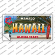 Hawaii State Novelty Sticker Decal Small