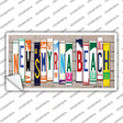 New Smyrna Beach Plate Art Novelty Sticker Decal Small