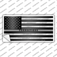 American Flag Corrections Novelty Sticker Decal Small