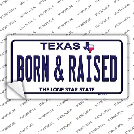 Born and Raised Texas Novelty Sticker Decal Small