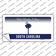 South Carolina Background Novelty Sticker Decal Small