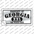 Property Of Georgia Novelty Sticker Decal Small