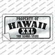 Property Of Hawaii Novelty Sticker Decal Small