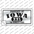 Property Of Iowa Novelty Sticker Decal Small