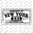 Property Of New York Novelty Sticker Decal Small