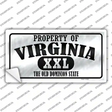 Property Of Virginia Novelty Sticker Decal Small