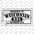 Property Of Wisconsin Novelty Sticker Decal Small