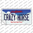 Crazy Horse South Dakota Novelty Sticker Decal Small