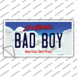 Bad Boy South Dakota Novelty Sticker Decal Small