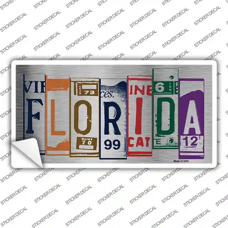 Florida Art Novelty Sticker Decal Small