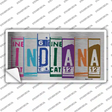 Indiana Art Novelty Sticker Decal Small