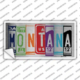 Montana Art Novelty Sticker Decal Small