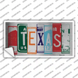 Texas Art Novelty Sticker Decal Small