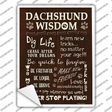 Dachshund Wisdom Novelty Rectangle Sticker Decal Small