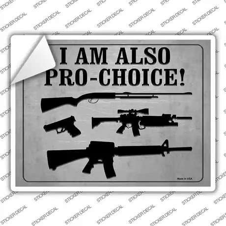 Im Also Pro-Choice Novelty Rectangle Sticker Decal Small