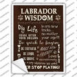 Labrador Wisdom Novelty Rectangle Sticker Decal Small