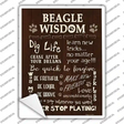 Beagle Wisdom Novelty Rectangle Sticker Decal Small