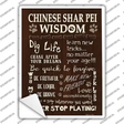 Chinese Shar Pei Wisdom Novelty Rectangle Sticker Decal Small