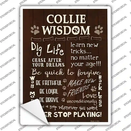 Collie Wisdom Novelty Rectangle Sticker Decal Small