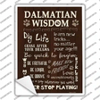 Dalmatian Wisdom Novelty Rectangle Sticker Decal Small