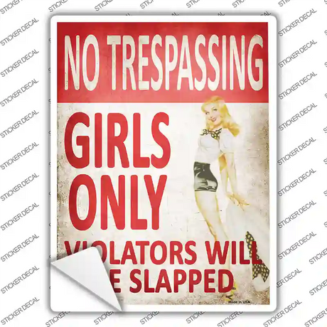 No Trespassing Girls Only Novelty Rectangle Sticker Decal Small