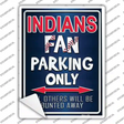 Indians Novelty Rectangle Sticker Decal Small