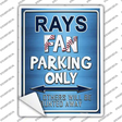 Rays Novelty Rectangle Sticker Decal Small