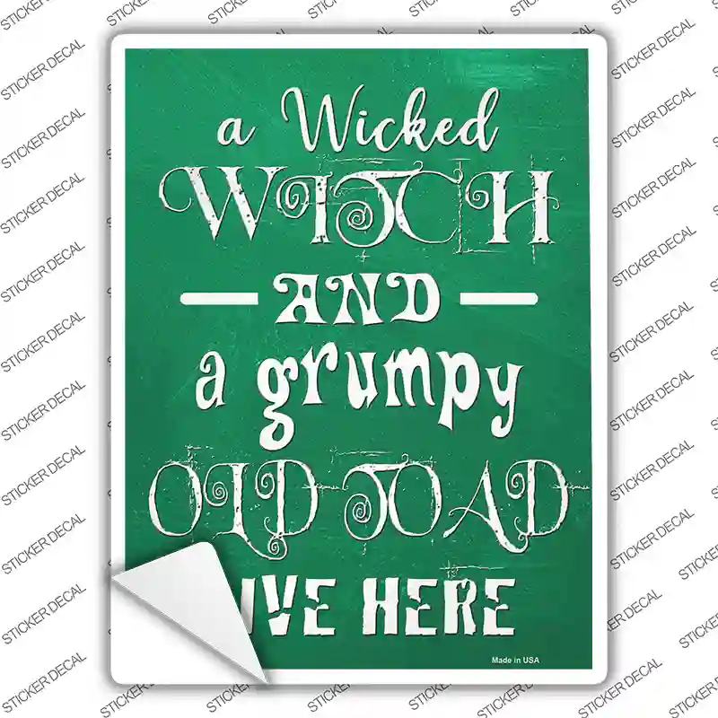 Wicked Witch and Grumpy Toad Novelty Rectangle Sticker Decal Small