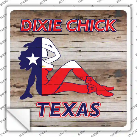 Dixie Chicks Texas Novelty Square Sticker Decal Small