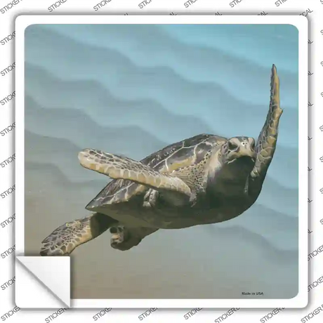 Sea turtle Picture Novelty Square Sticker Decal Small